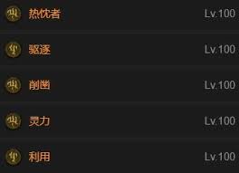 暗黑破坏神4S11狂热者长枪圣骑士怎么搭配BD