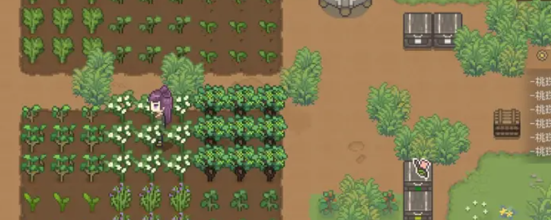 《桃源村日志》酒全收集分享