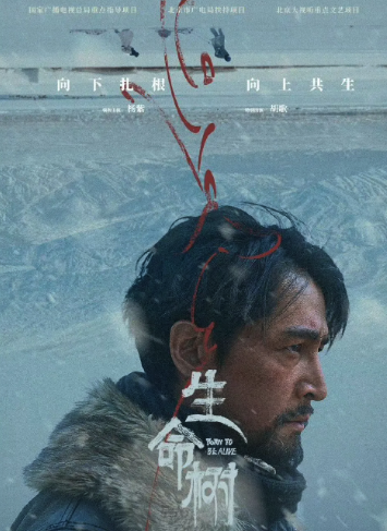 1770631400800866.png 1770631400800866.png