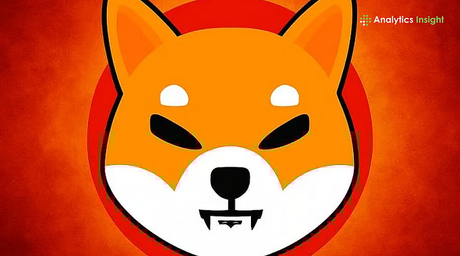 柴犬币处于关键低位：聪明钱在买入还是更多痛苦在前方？