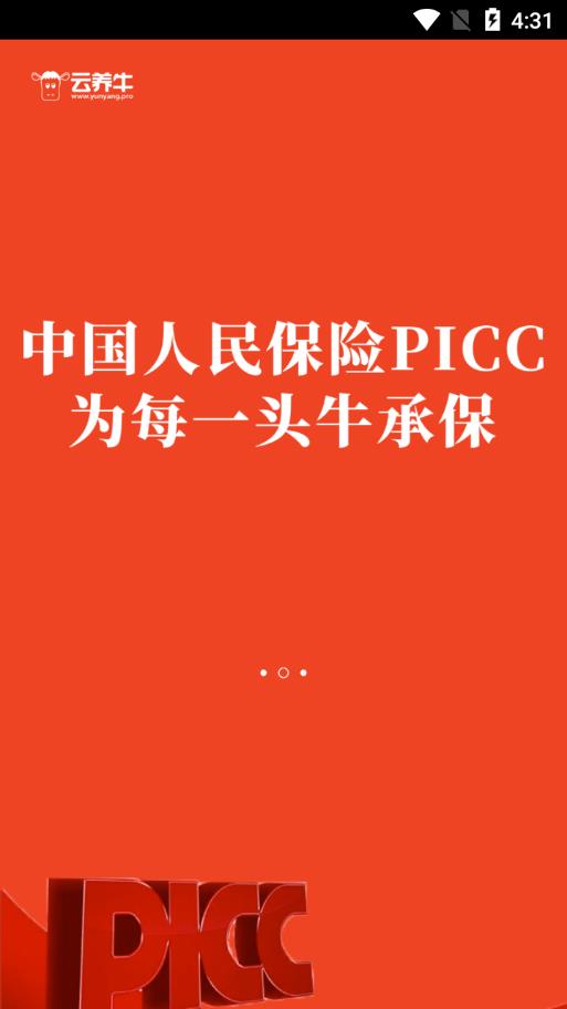 云养牛