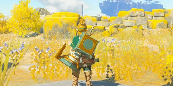 塞尔达传说王国之泪拉卡修高神庙通过攻略