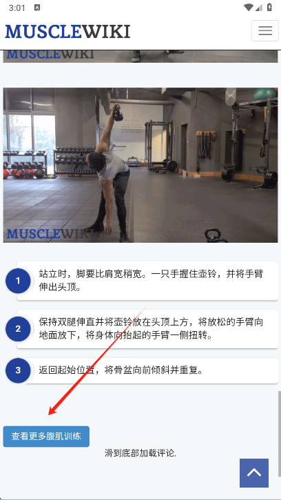 Muscle Wiki