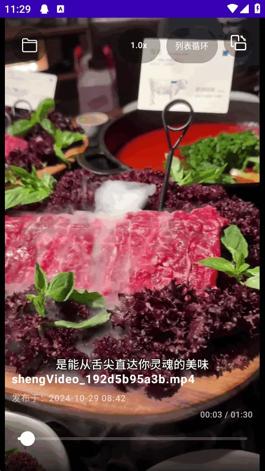 TikAlbum(本地视频播放器)