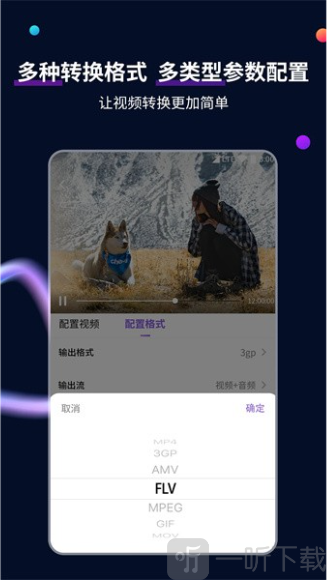 MP4格式转换器