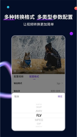 MP4格式转换器