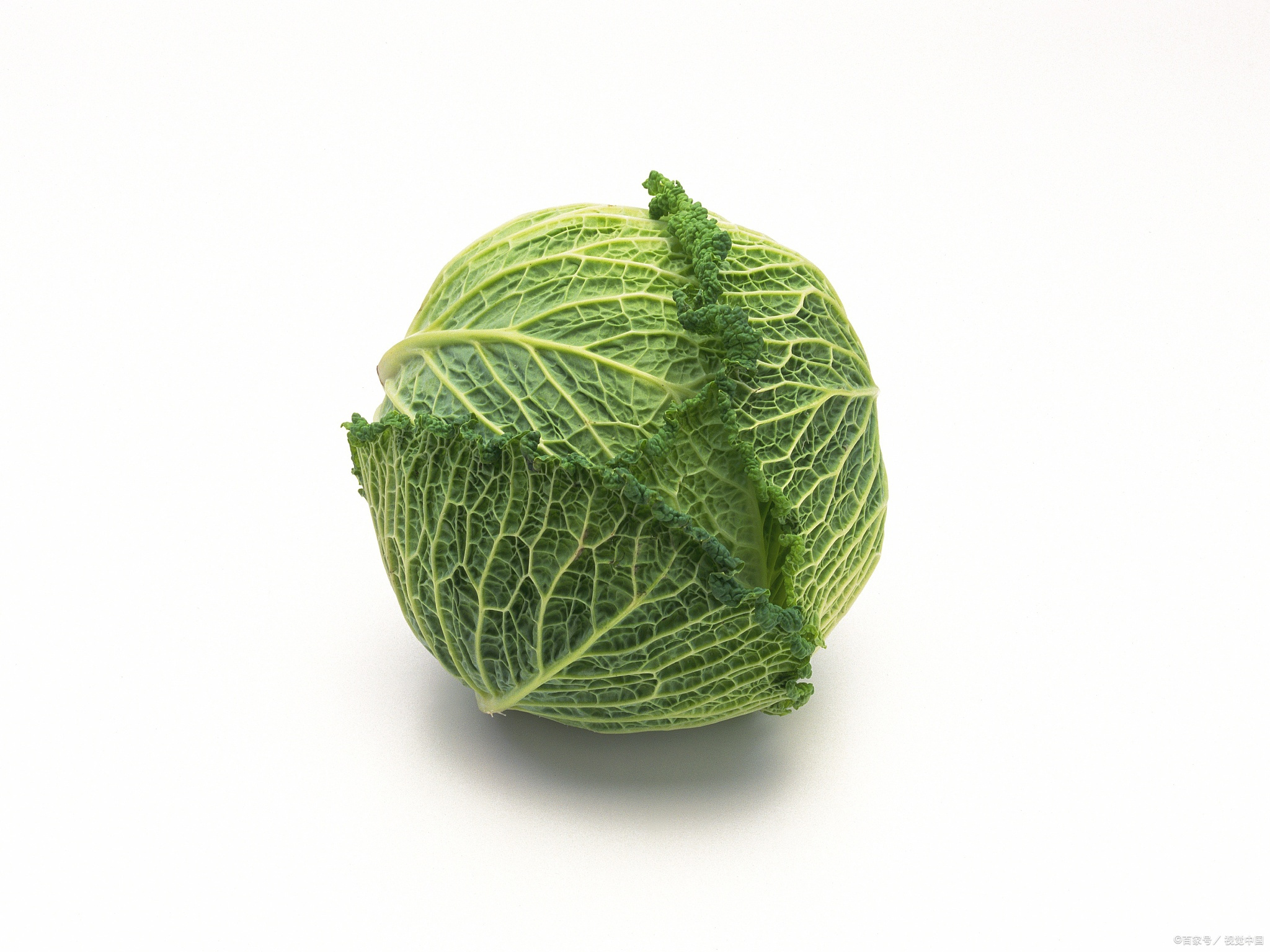 img_69b7f51e7f5dd31.png