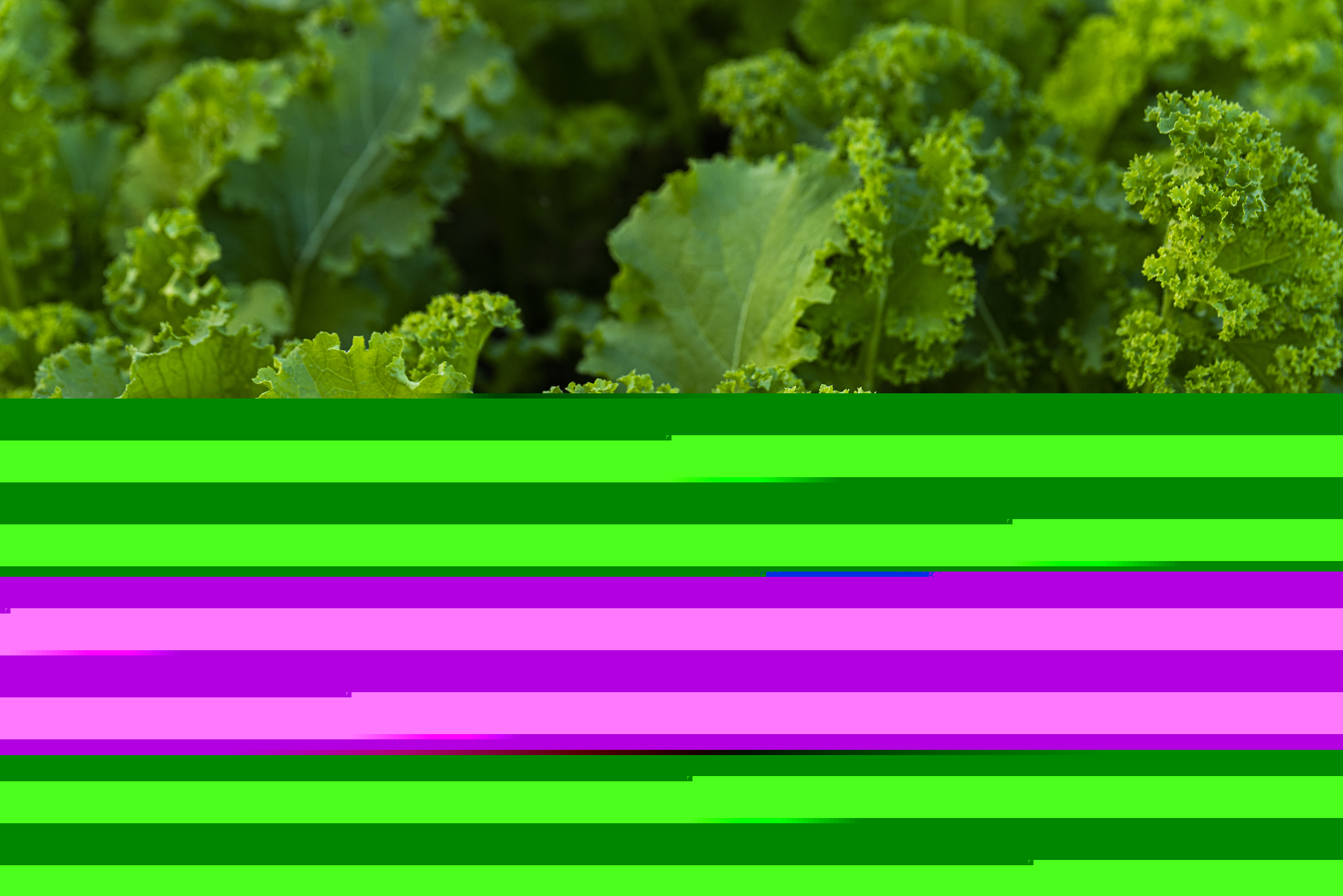 img_69b7f51e7f5e233.png