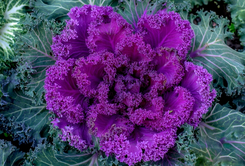 img_69b7f51e7f5e534.png