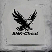 SNK容器