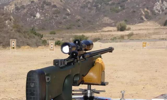 《天龙狙击枪技能加点攻略》（掌握天龙狙击枪技能加点方法，提升游戏实力）-第1张图片-