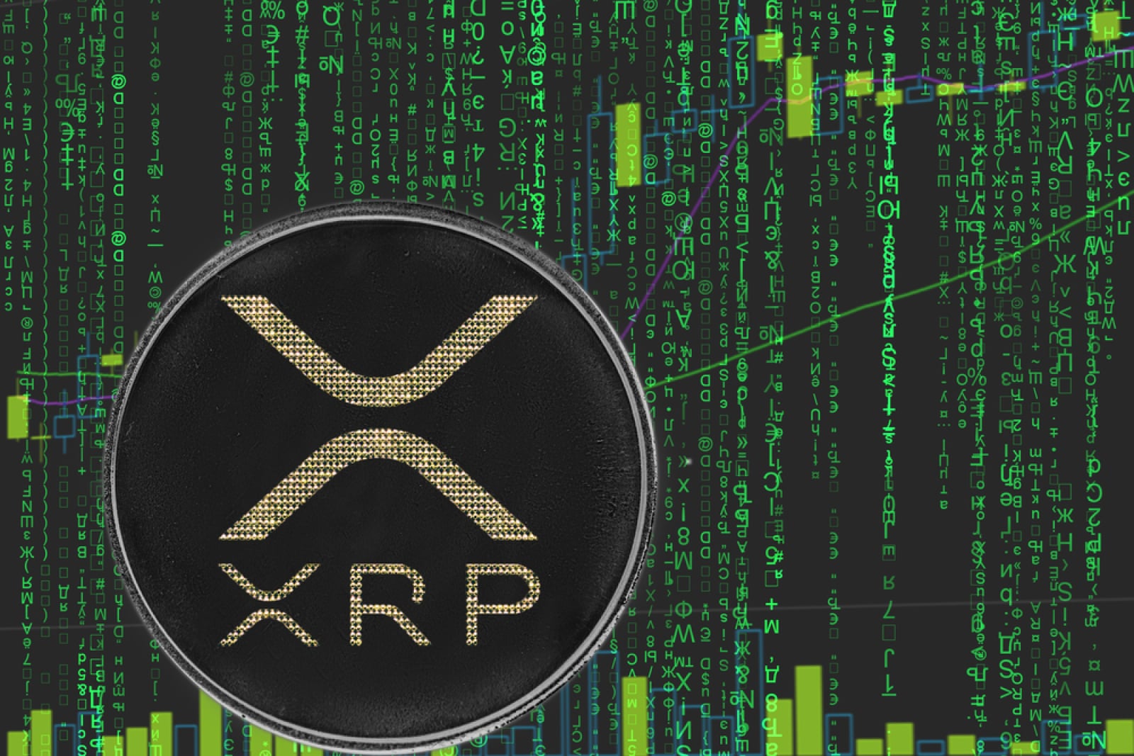 Evernorth首席执行官解释为何XRP价格落后于网络采用率