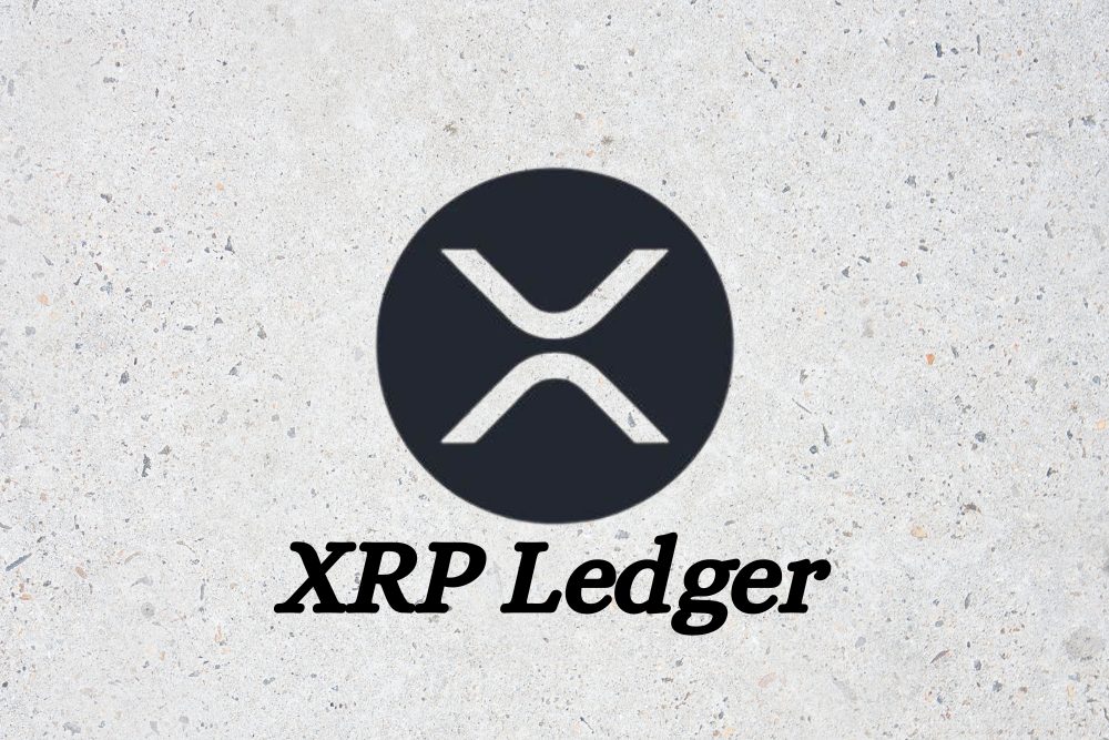 机构资金持续流入XRP账本，尽管价格波动
