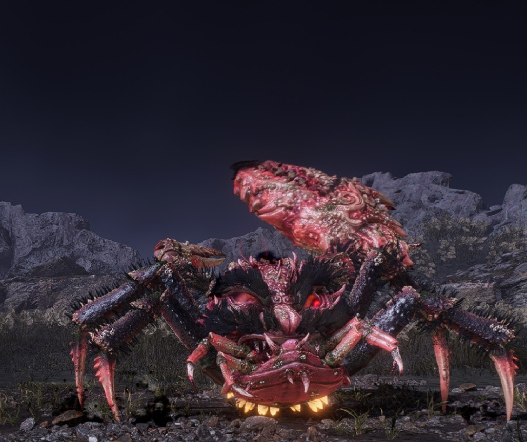 《仁王3》贝凯加尼介绍