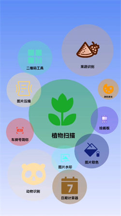 智能花卉识别 1