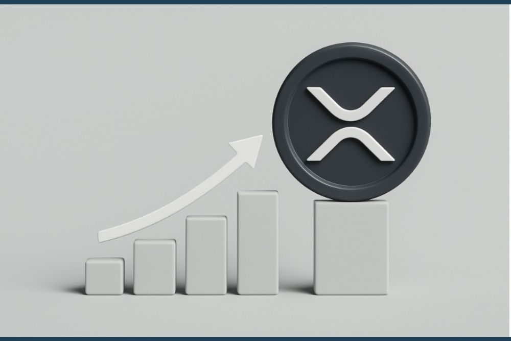 XRP动态解析：XRP不会袖手旁观