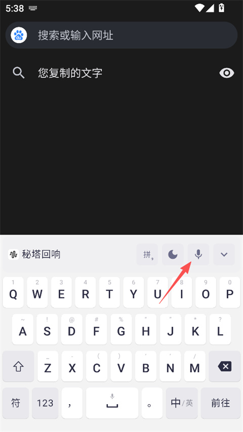 秘塔回响app