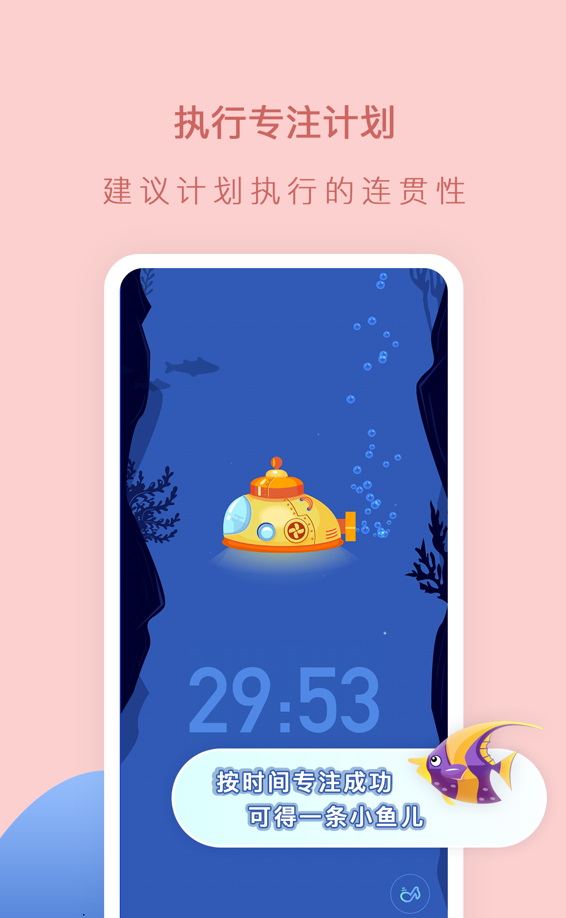小鱼专注