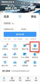 铁路12306怎么办理临时乘车身份件明