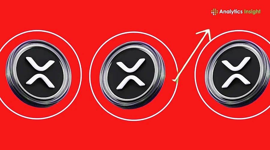 XRP ETF持仓：供应量中占比多少？