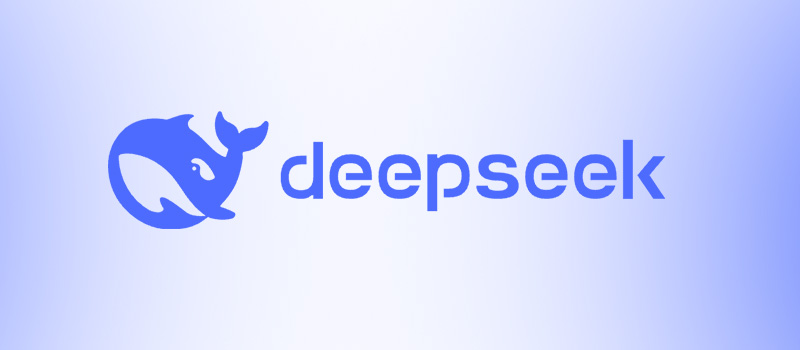 1765460562789421.jpg story-whats-the-fuss-about-deepseek.jpg