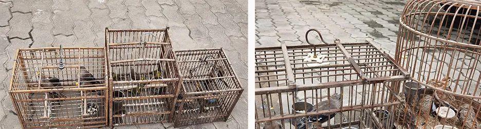 狩猎驿站攻略(一步步教你掌握狩猎驿站中的各种技能,提升你的狩猎实力)-第3张图片- 狩猎驿站攻略(一步步教你掌握狩猎驿站中的各种技能,提升你的狩猎实力)-第3张图片-