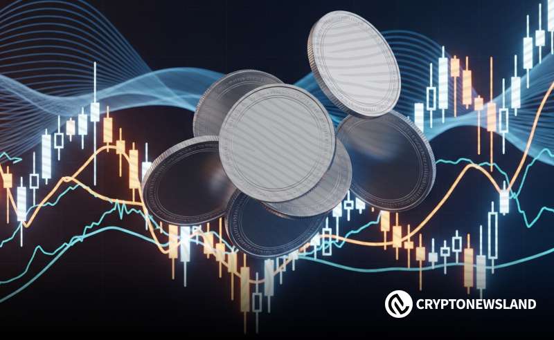 具有巨大上涨潜力的3种热门山寨币——BCH、BNB和XMR