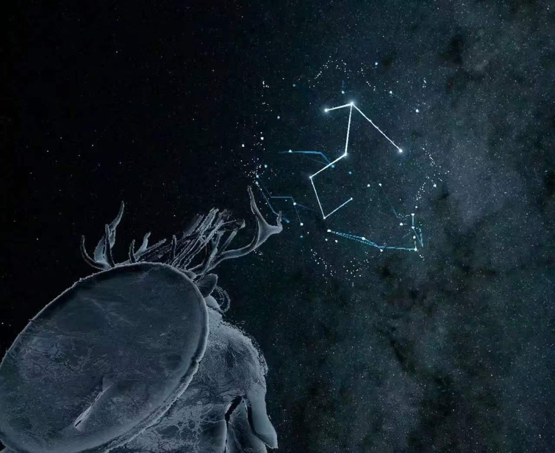 《红色沙漠》星之引路人成就做法分享