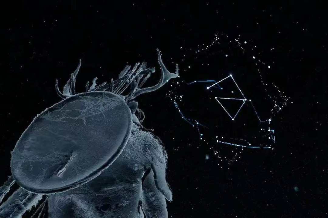 《红色沙漠》星之引路人成就做法分享