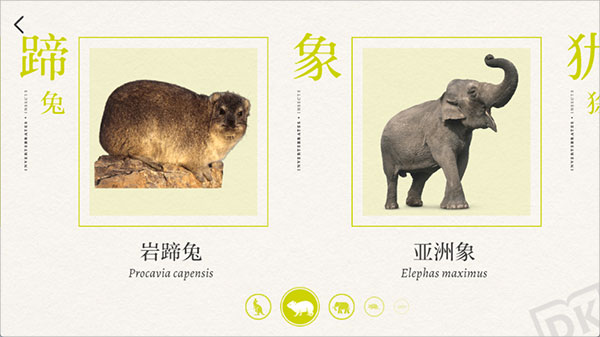 DK百科app
