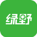 绿野运动