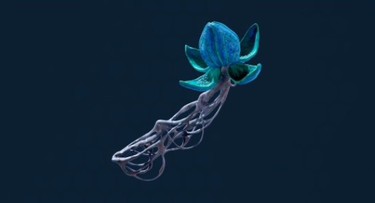 《深海迷航2：异星水域》布鲁姆寄生虫特点介绍