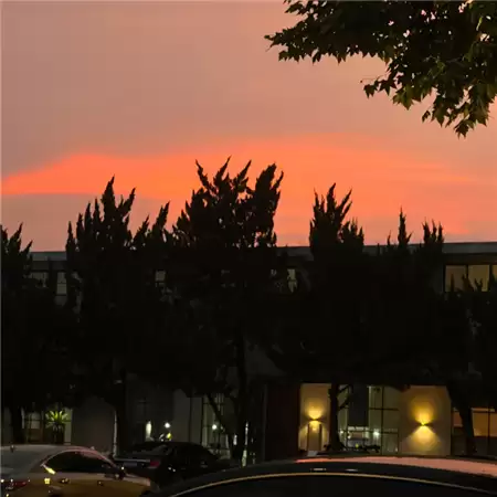 img_6a0d9c66519fe31.webp