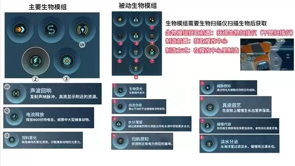 img_6a1028db6648d30.webp