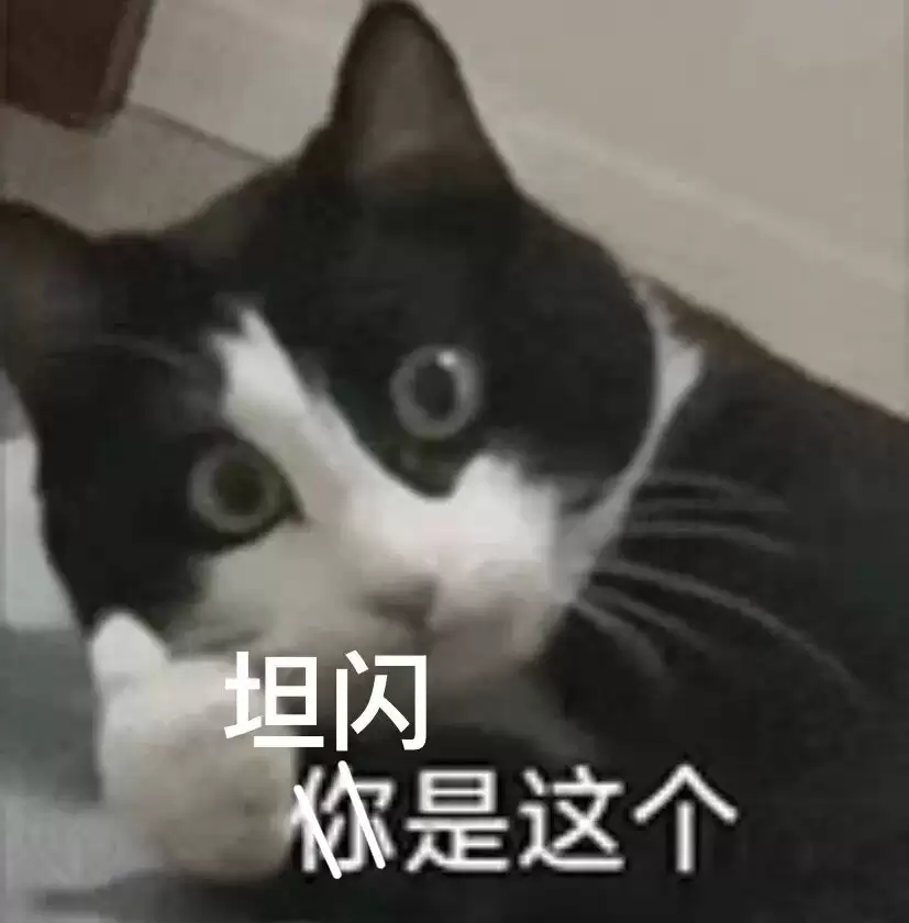 img_6a103b91b6a9830.webp