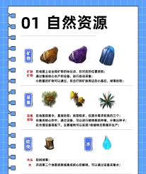img_6a1297578bcc632.jpg