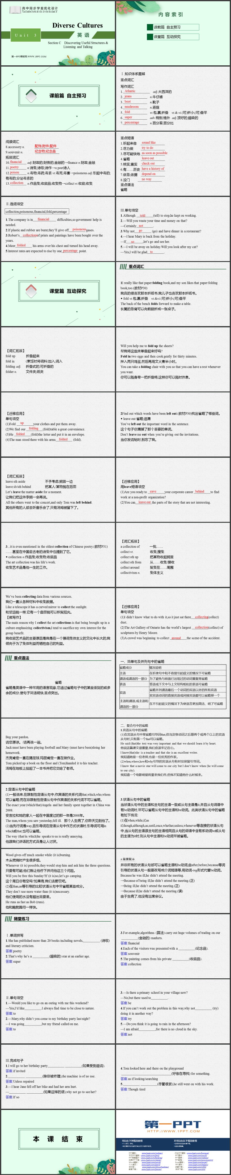 《Diverse Cultures》Section C PPT教学课件