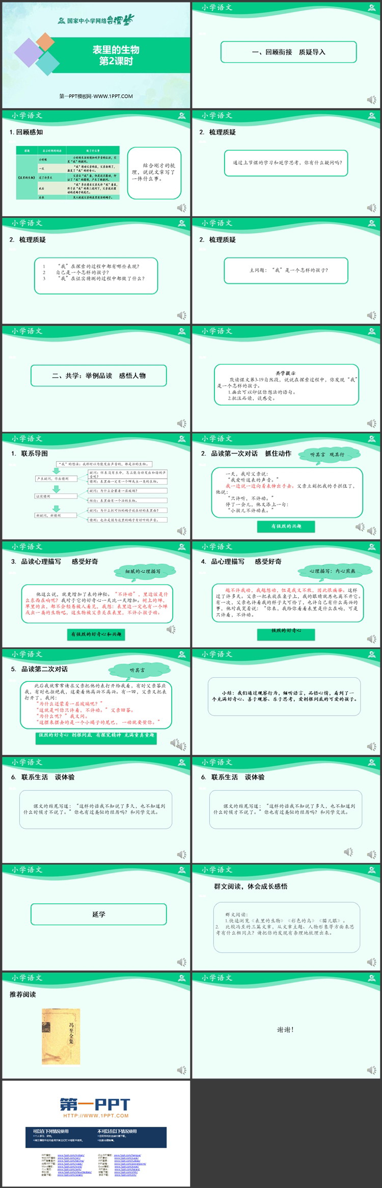 《表里的生物》PPT课件免费下载 第二课时