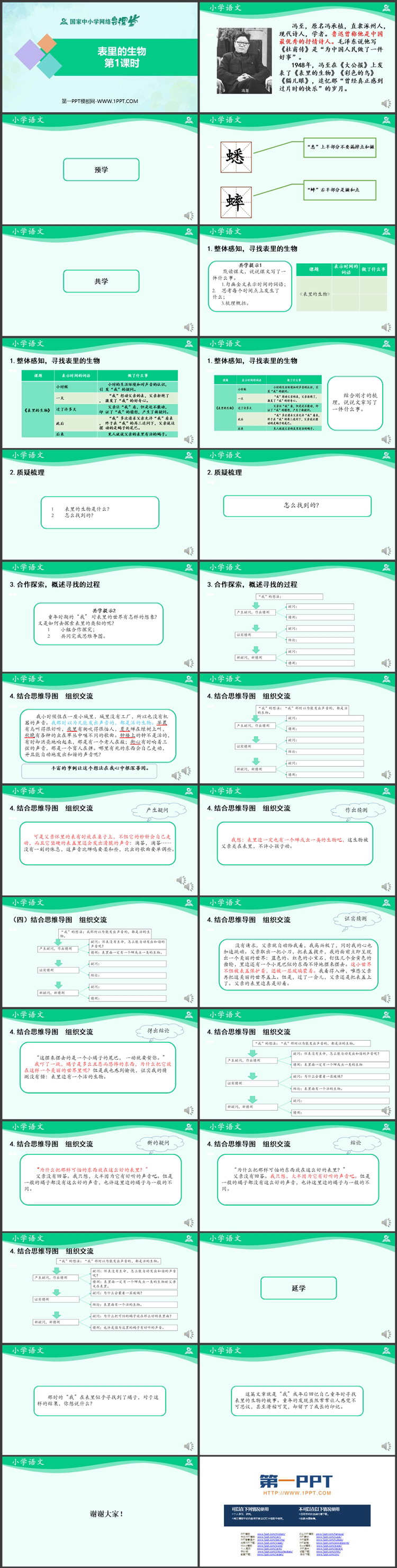 《表里的生物》PPT课件免费下载（第一课时）