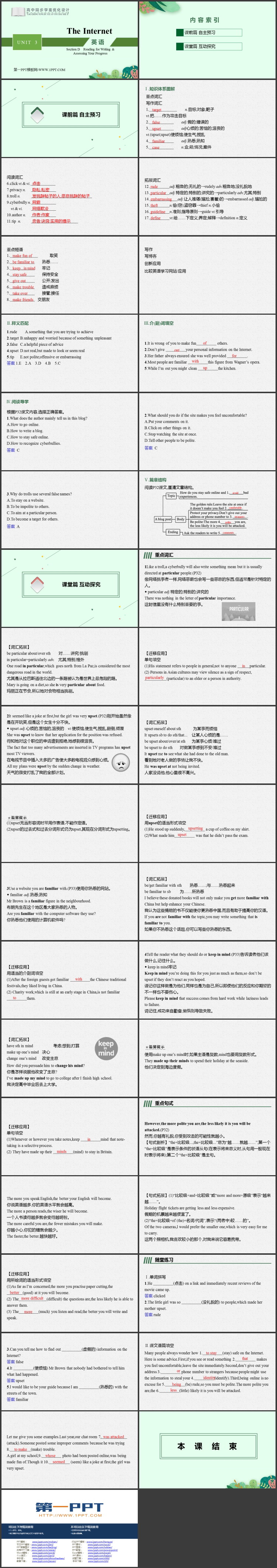 《The Internet》SectionD PPT教学课件