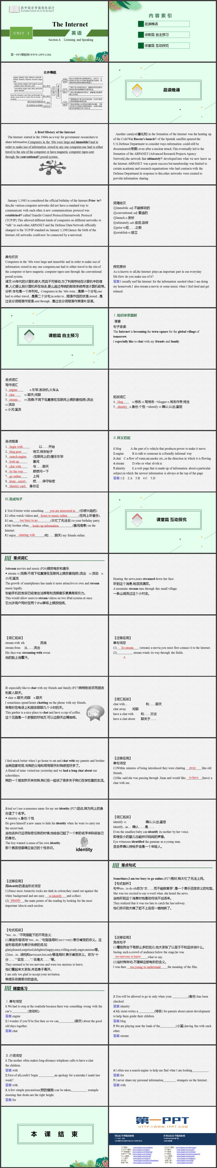 《The Internet》SectionA 教学课件PPT