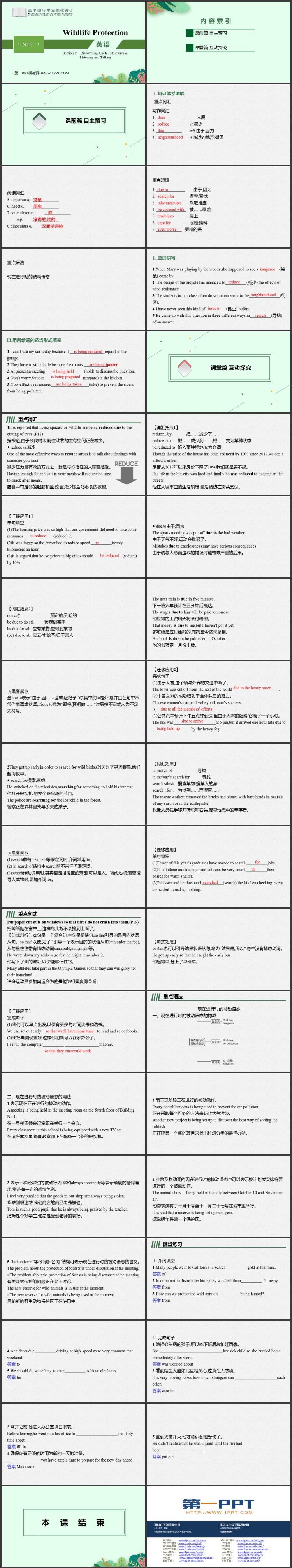 《Wildlife Protection》Section C PPT教学课件