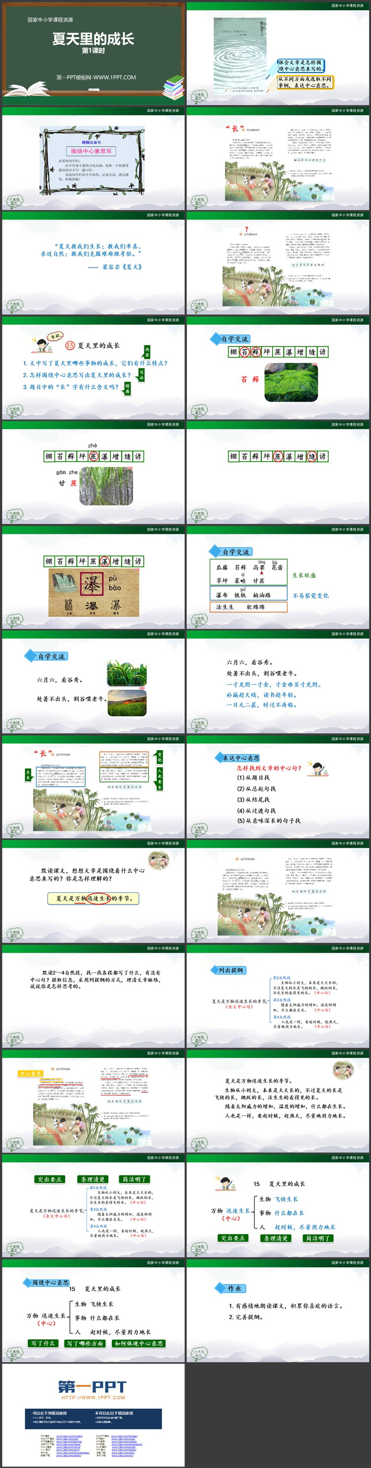 《夏天里的成长》优质PPT教学课件第一课时