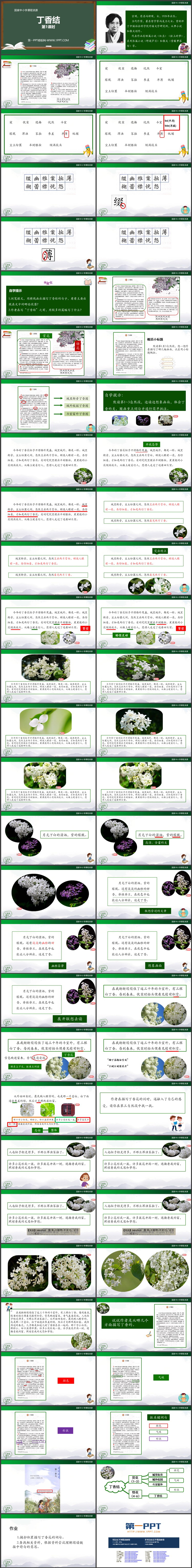 《丁香结》PPT优质教学课件第一课时