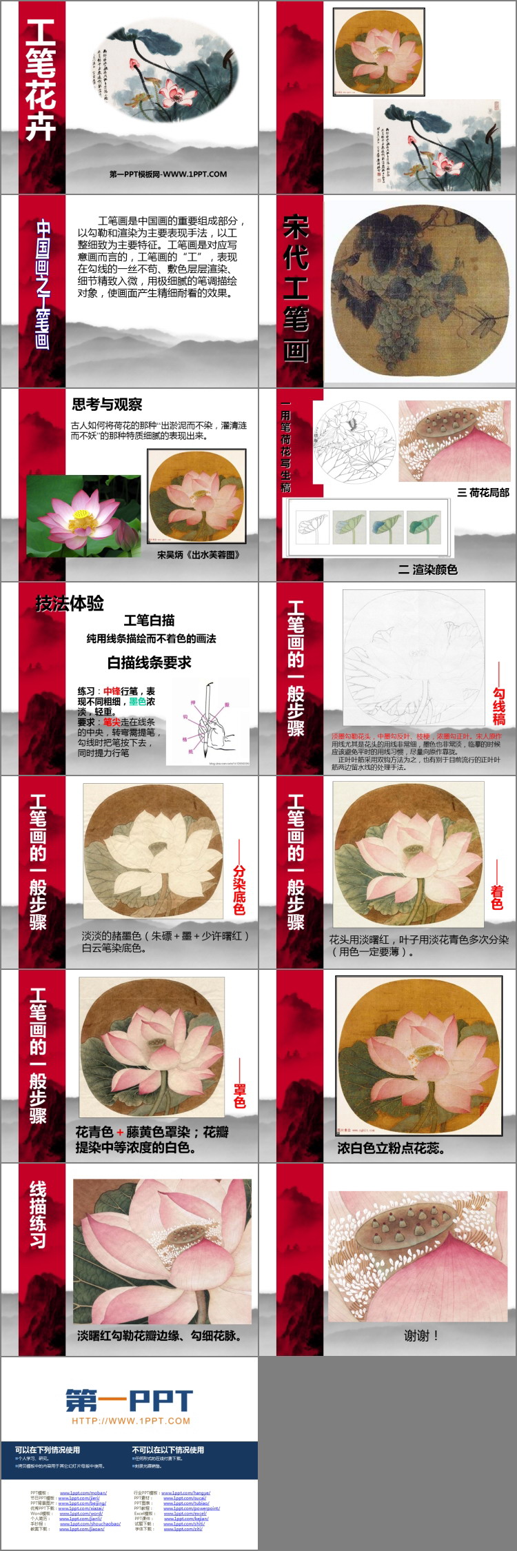 《工笔花卉》PPT精品课件