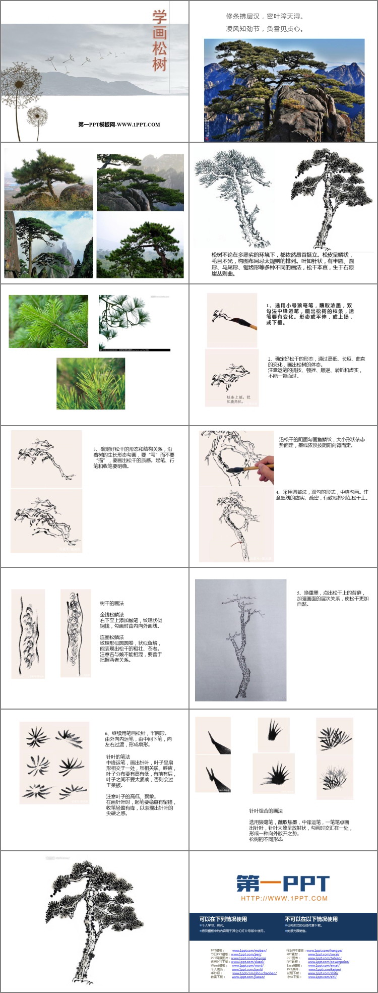 《学画松树》PPT免费课件