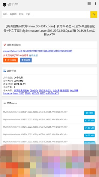 img_6a12ec359aaab32.png