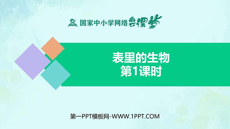 《表里的生物》PPT课件免费下载（第一课时）
