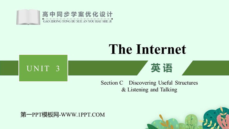 《The Internet》SectionC 教学课件PPT
