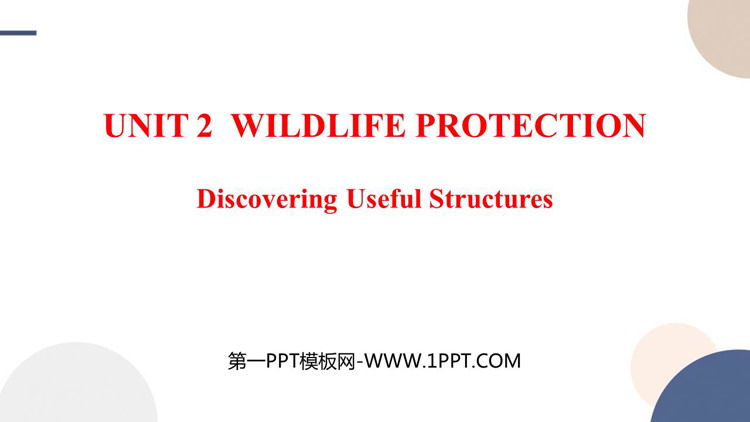《Wildlife Protection》聚焦实用结构探究PPT课件